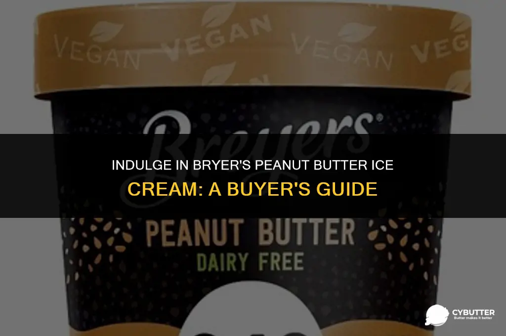 where to buy bryer peanut butter ice cream