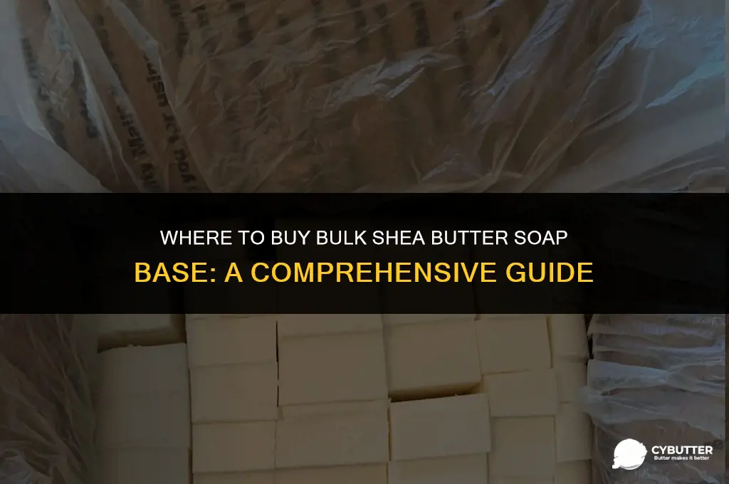 where to buy bulk shea butter soap base