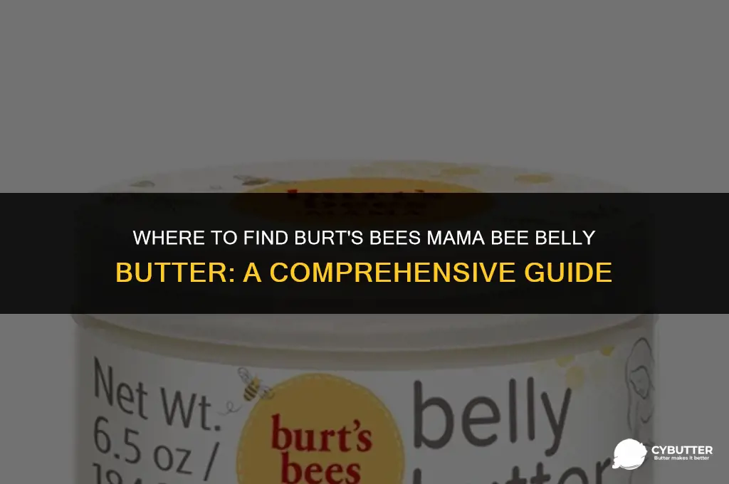 where to buy burt