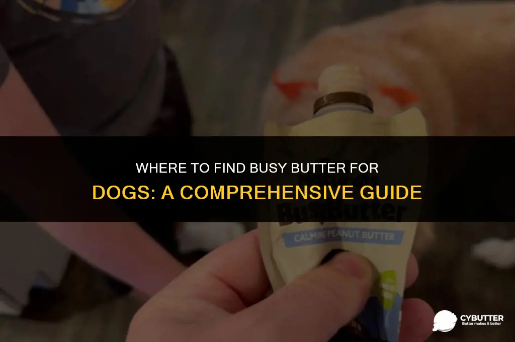 where to buy busy butter for dogs
