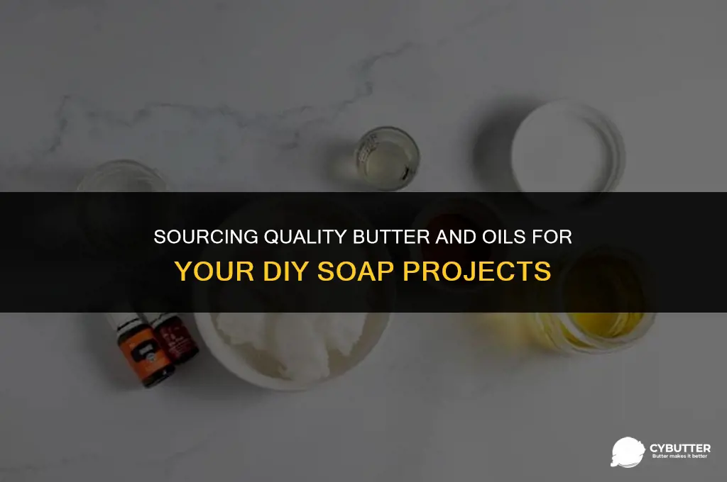 where to buy butter and oils for diy soap