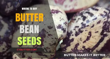 Discover the Best Sources for Purchasing Butter Bean Seeds Online