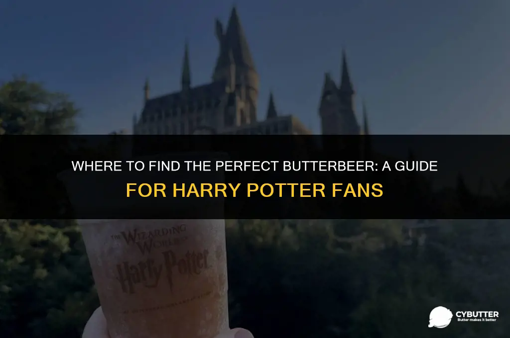 where to buy butter beer