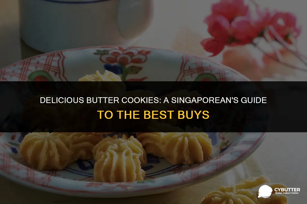 where to buy butter cookies in singapore