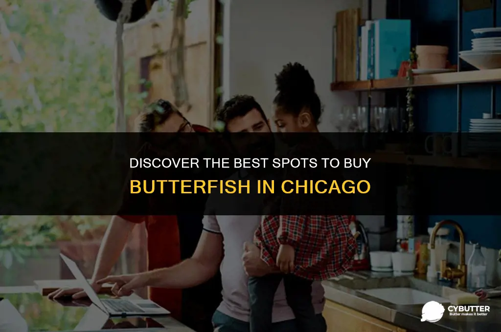 where to buy butter fish in chicago