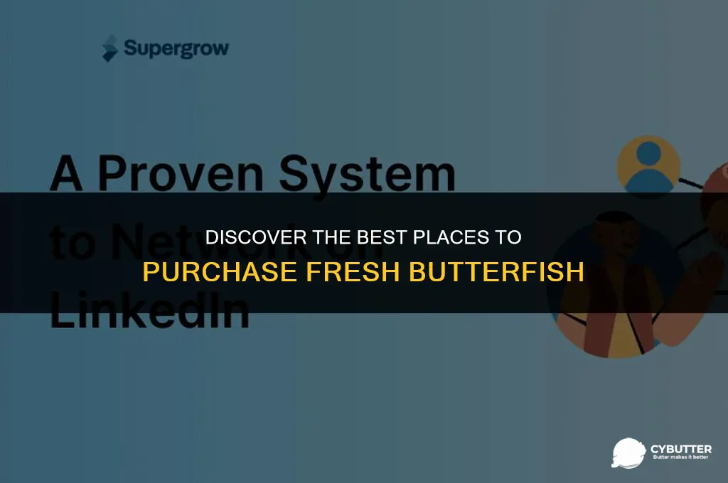 where to buy butter fish