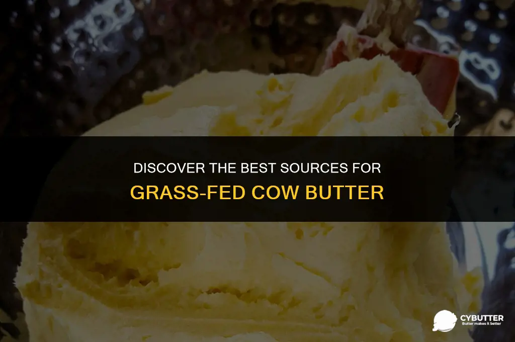 where to buy butter from grass fed cows