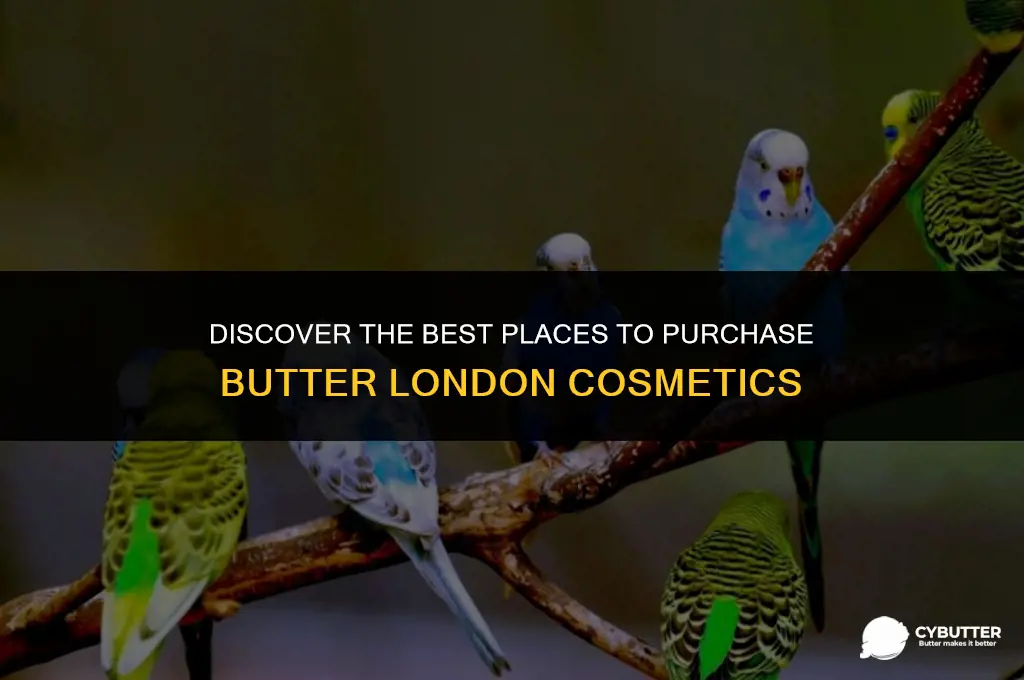 where to buy butter london cosmetics