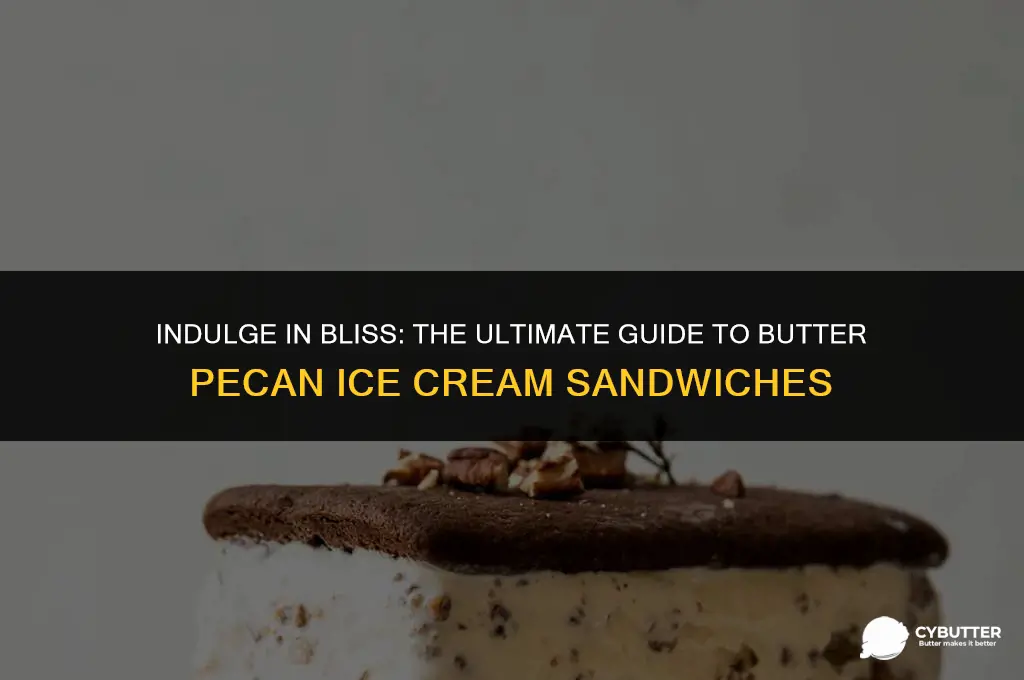 where to buy butter pecan ice cream sandwiches