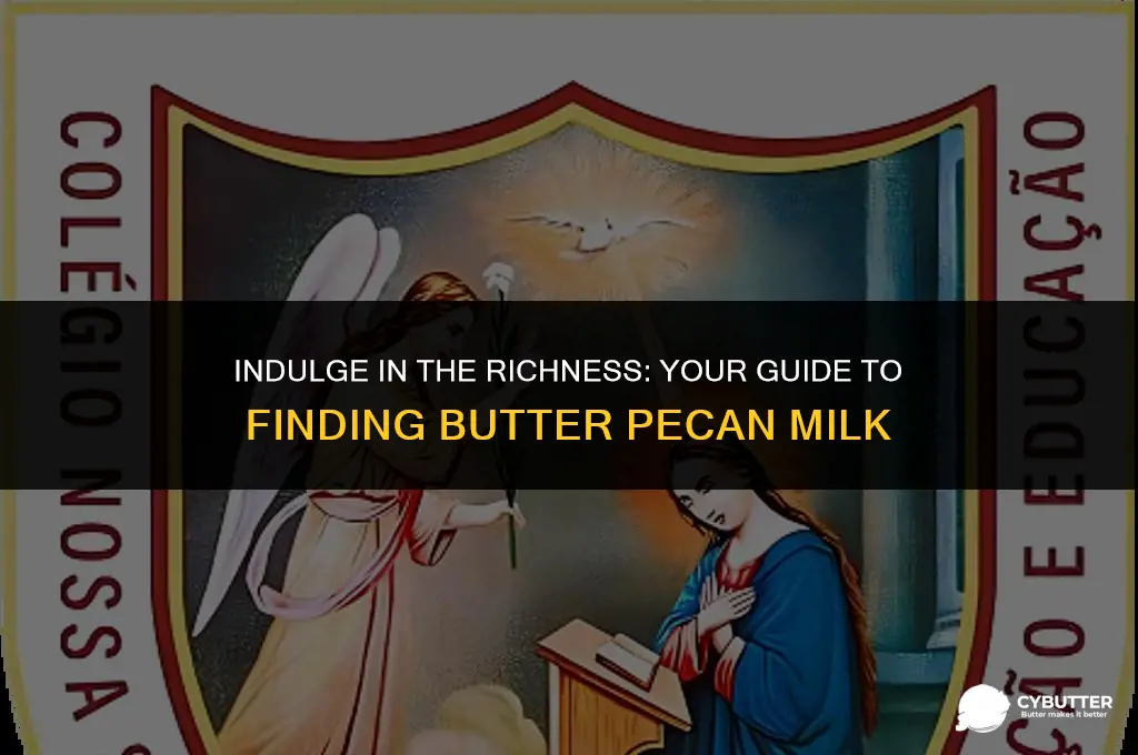 where to buy butter pecan milk