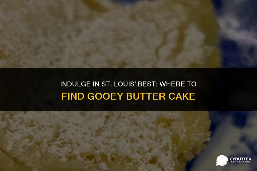 where to buy gooey butter cake in st louis