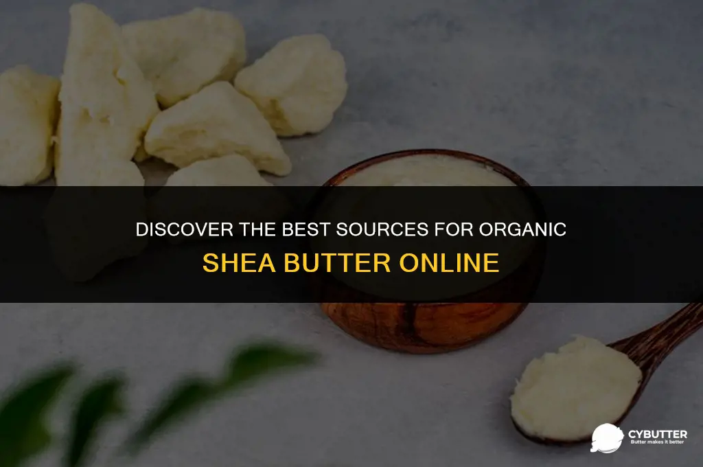 where to buy organic shea butter