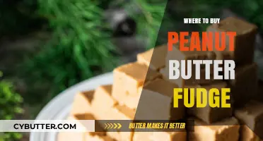 Indulge in the Best: Top Spots for Peanut Butter Fudge