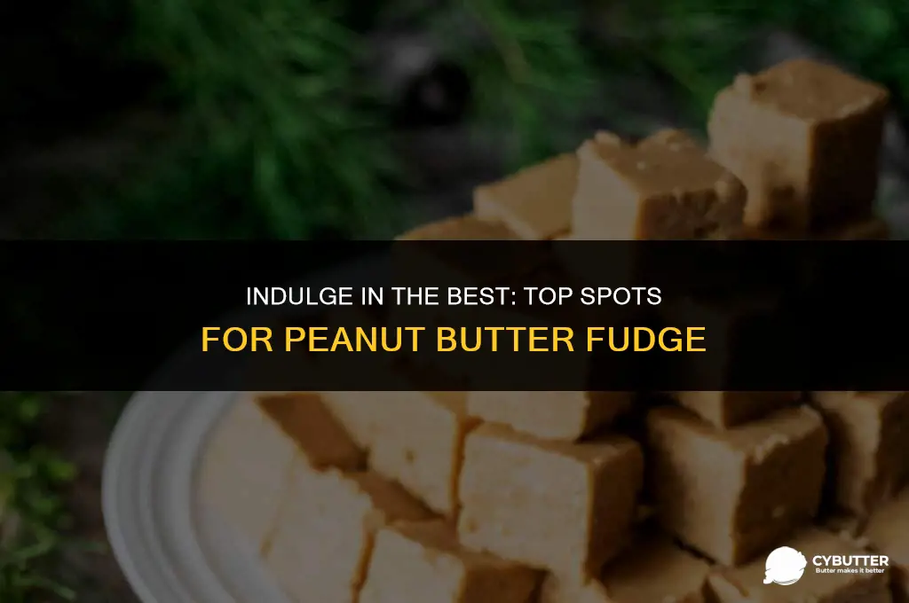 where to buy peanut butter fudge