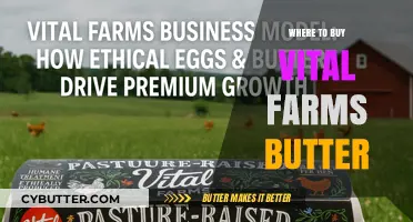 Discover the Best Places to Purchase Vital Farms Butter Online