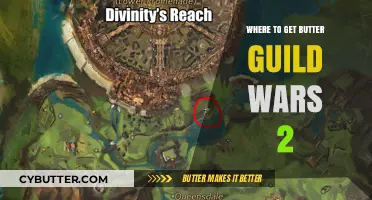 Where to Find Butter in Guild Wars 2: Essential Locations Guide