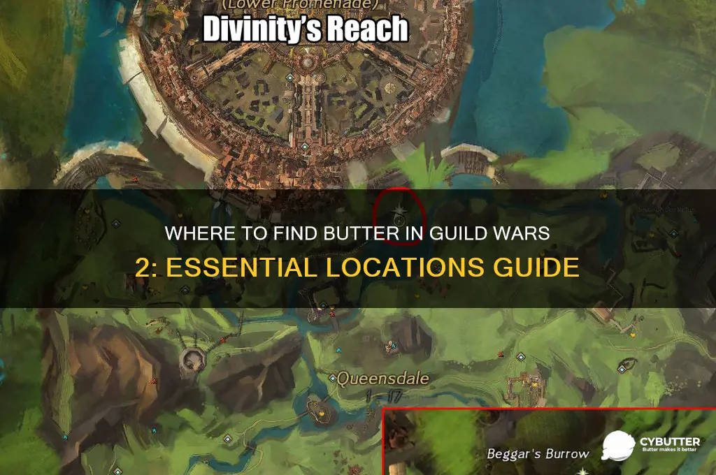 where to get butter guild wars 2