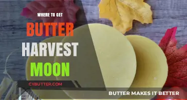 Harvest Moon Butter Sources: Best Locations to Obtain Butter Easily