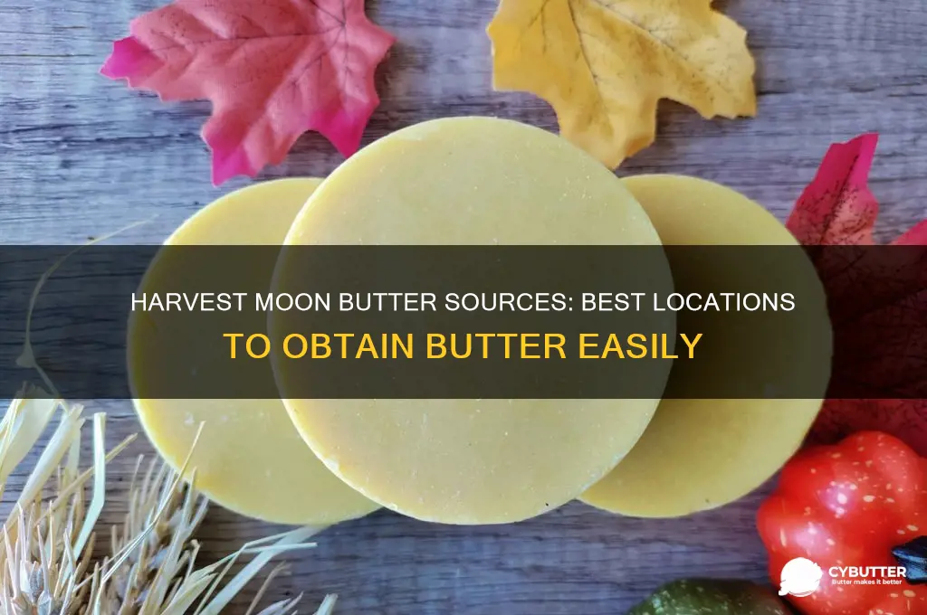 where to get butter harvest moon