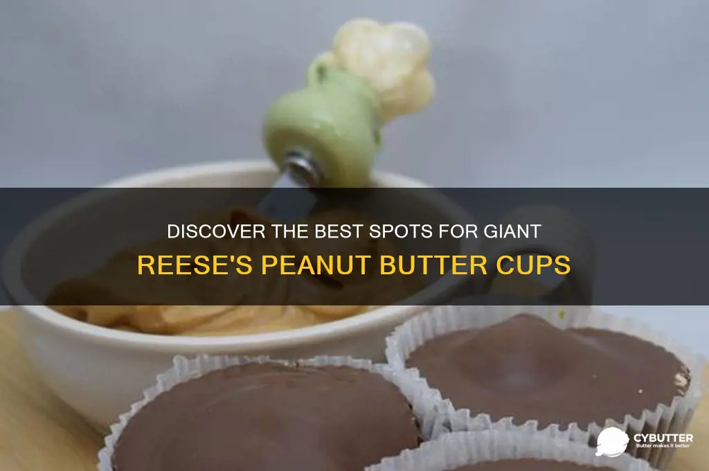 where to get huge reese