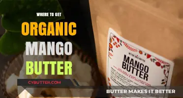 Discover the Best Sources for Organic Mango Butter Online