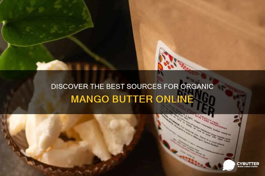 where to get organic mango butter