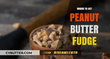 Discover the Best Spots for Irresistible Peanut Butter Fudge