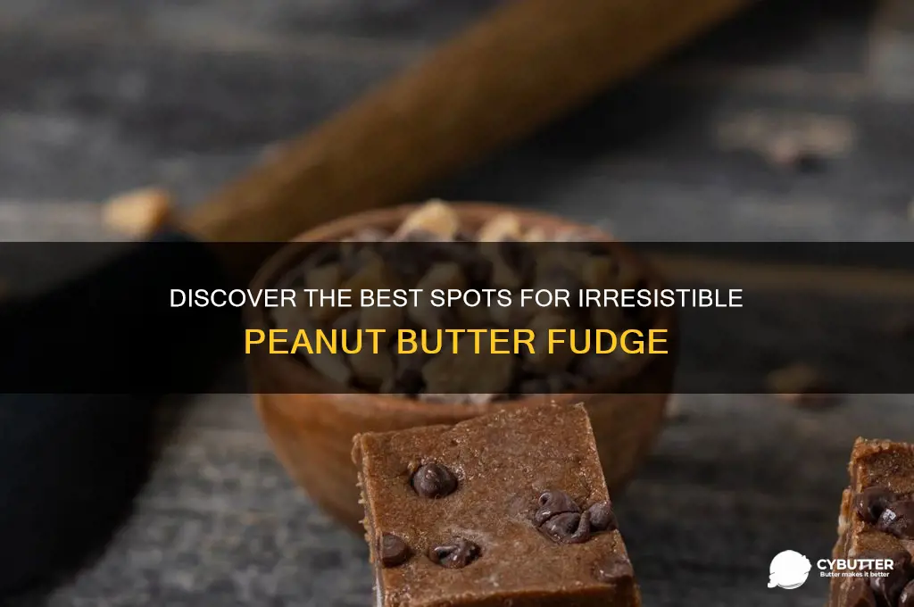 where to get peanut butter fudge