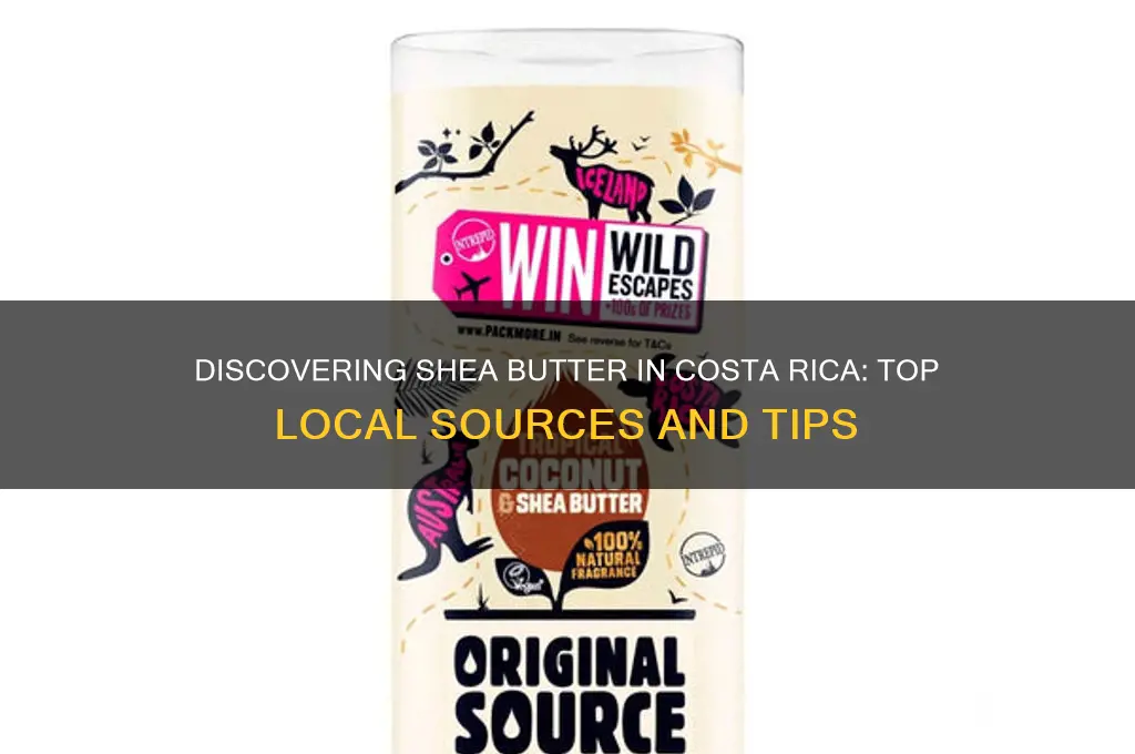 where to get shea butter in costa rica