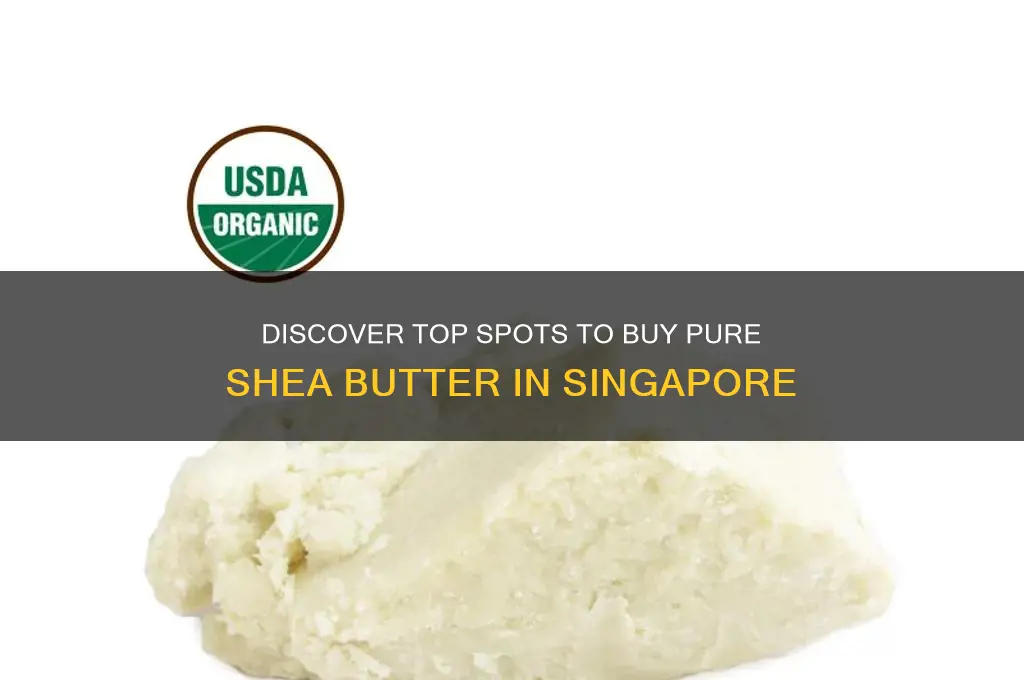 where to get shea butter in singapore