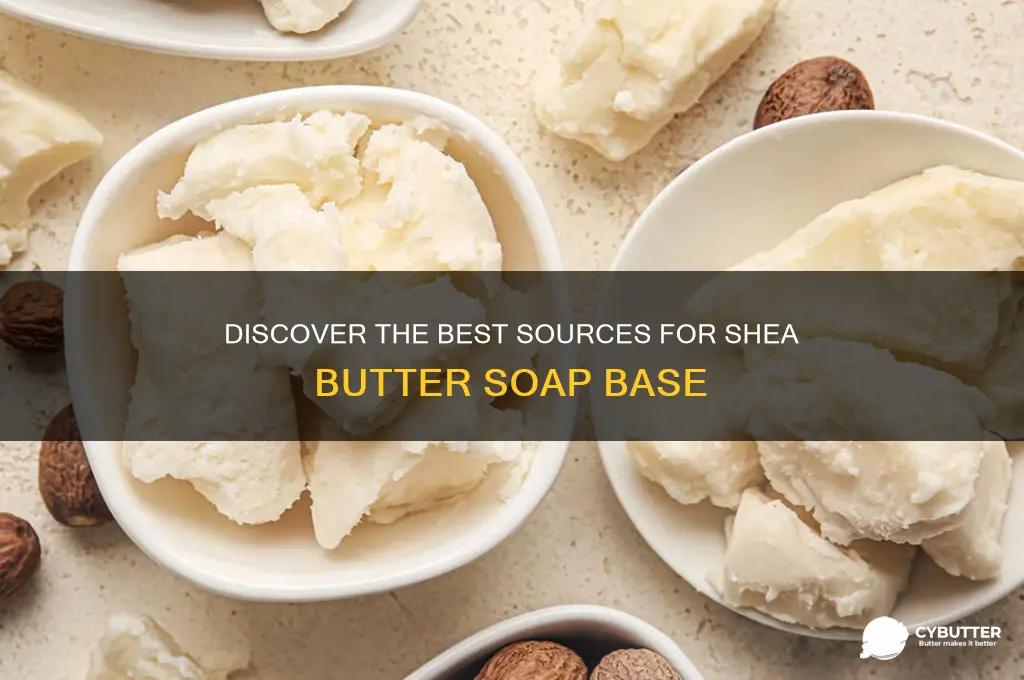 where to get shea butter soap base
