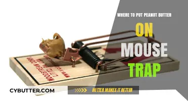 The Ultimate Guide: Peanut Butter Placement for Effective Mouse Trapping