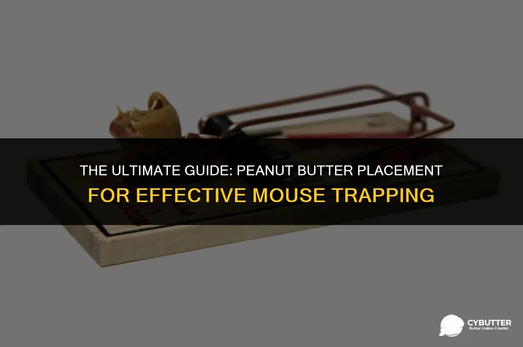 where to put peanut butter on mouse trap