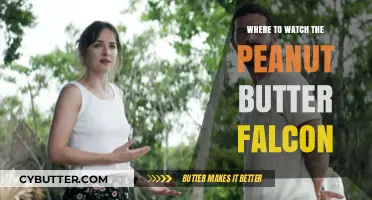 Unlikely Allies: A Guide to Watching 'The Peanut Butter Falcon