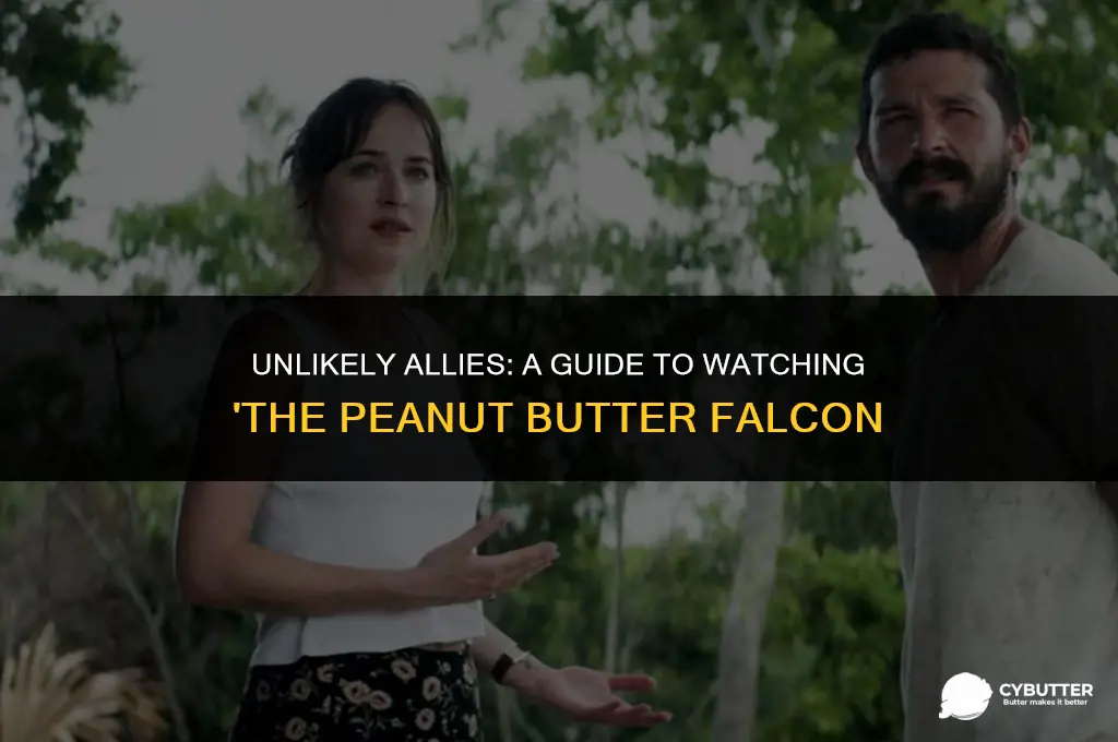 where to watch the peanut butter falcon