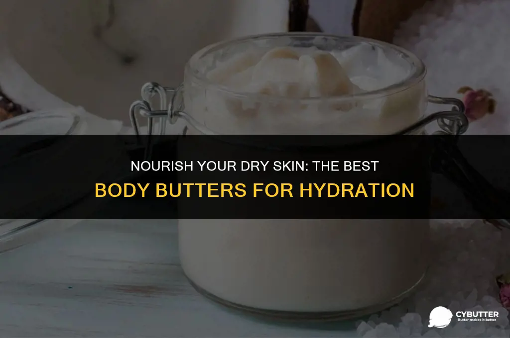 which body butter is good for dry skin