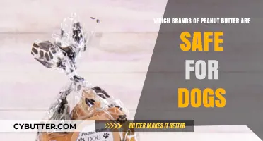 Peanut Butter for Pooches: Safe Brands Your Dog Will Love