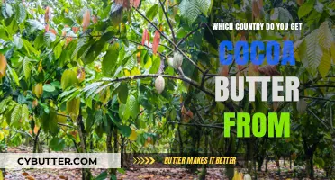 Discovering the Top Cocoa Butter Producing Countries and Their Exports