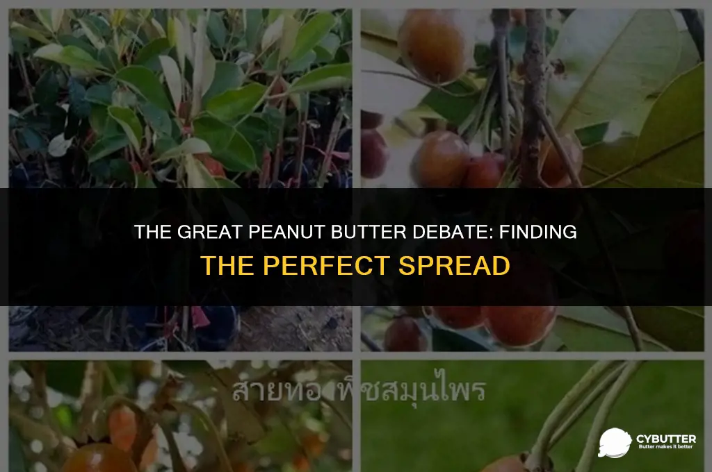 which is a good peanut butter