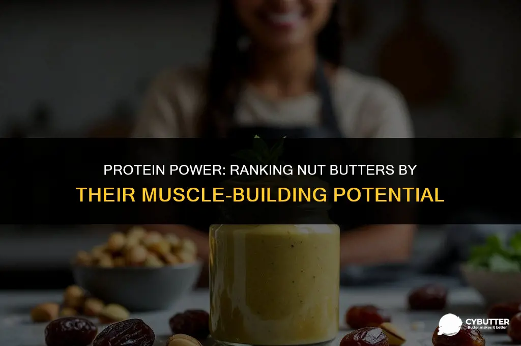 which nut butter has the most protein