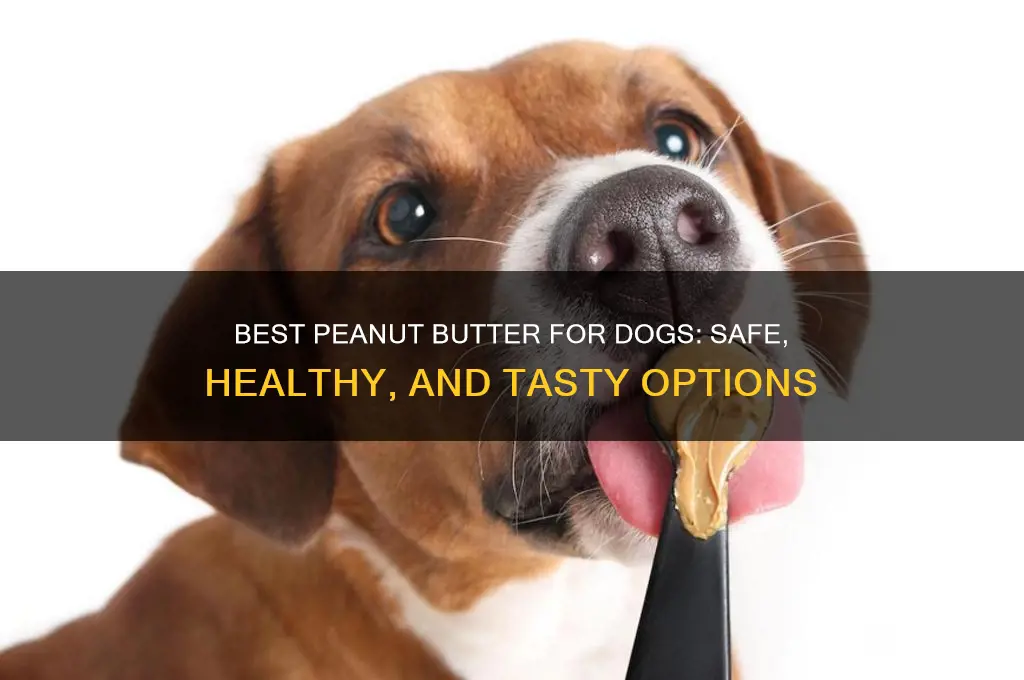 which peanut butter is good for dogs