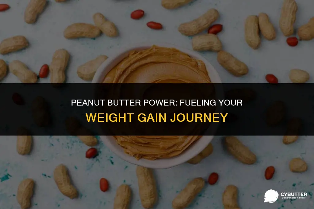 which peanut butter is good for weight gain