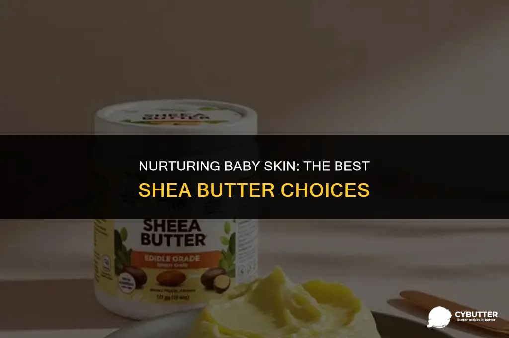 which shea butter is good for baby skin