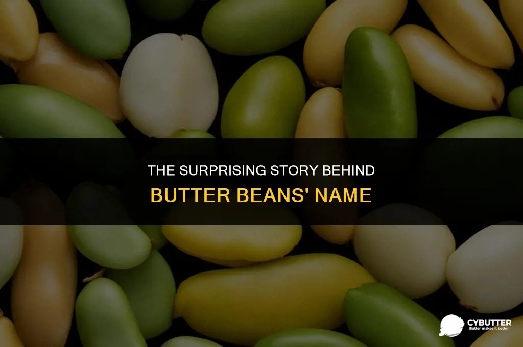 why are butter beans called butter beans