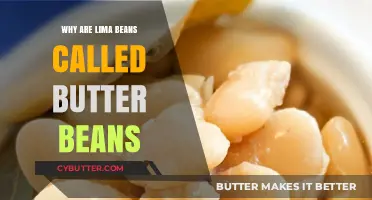 The Secret Behind Lima Beans: Why They're Called Butter Beans