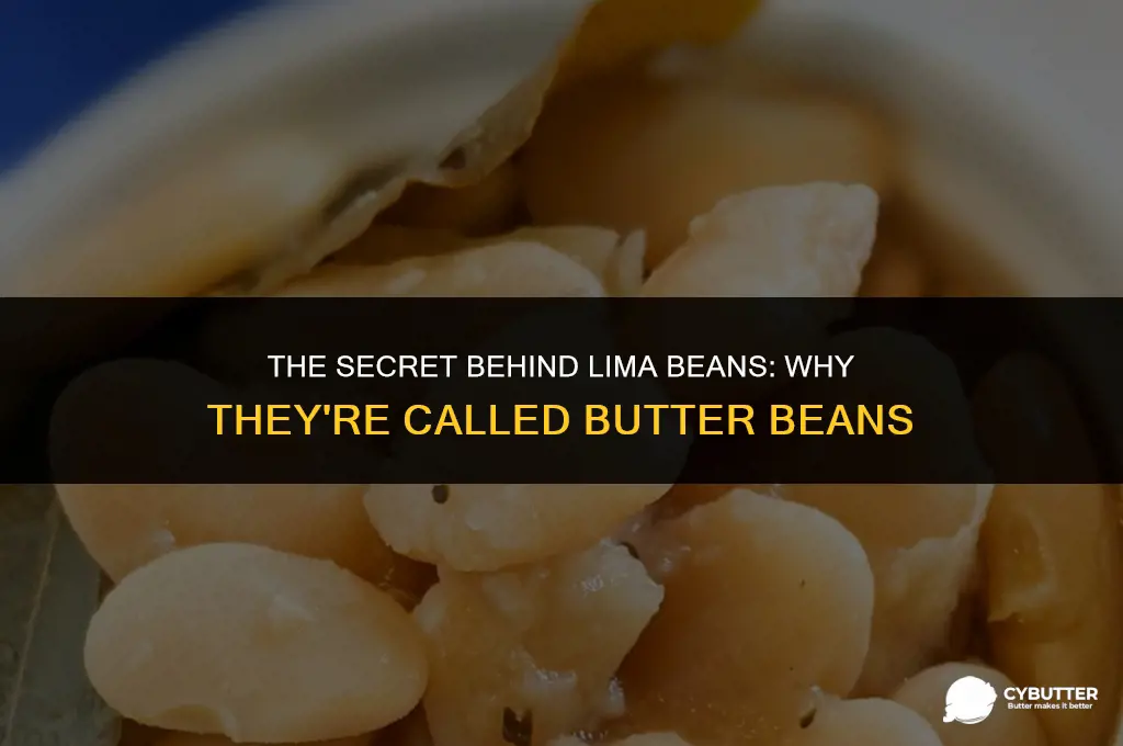 why are lima beans called butter beans