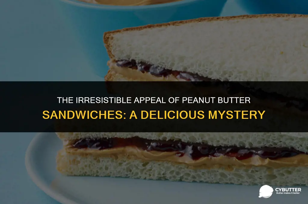 why are peanut butter sandwiches so good