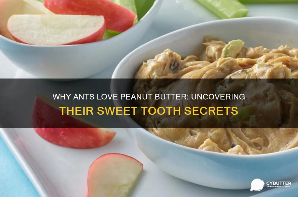 why are the ants get into the peanut butter