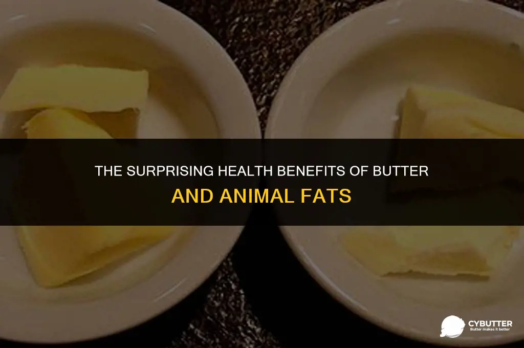 why butter and other animal fats are good