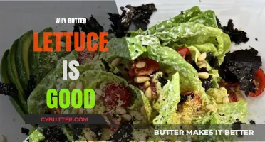The Surprising Health Benefits of Butter Lettuce: A Nutritional Powerhouse